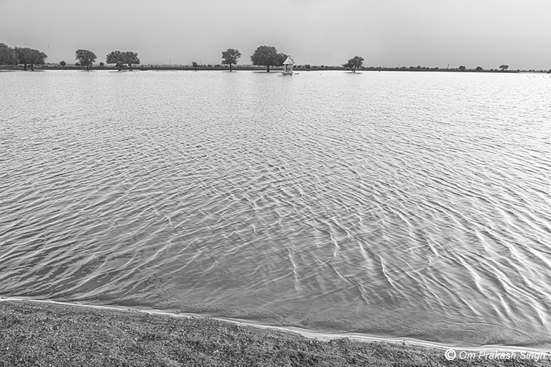 Viprasar as a large pond replenished by runoff generated from monsoon rainfall on the outskirts of Netsi village in Thar Desert, Jaisalmer District, Rajasthan, India